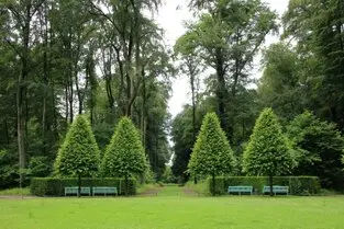 Tala y poda de árboles en altura, León y provincia Tala y poda de árboles en altura, León y provincia